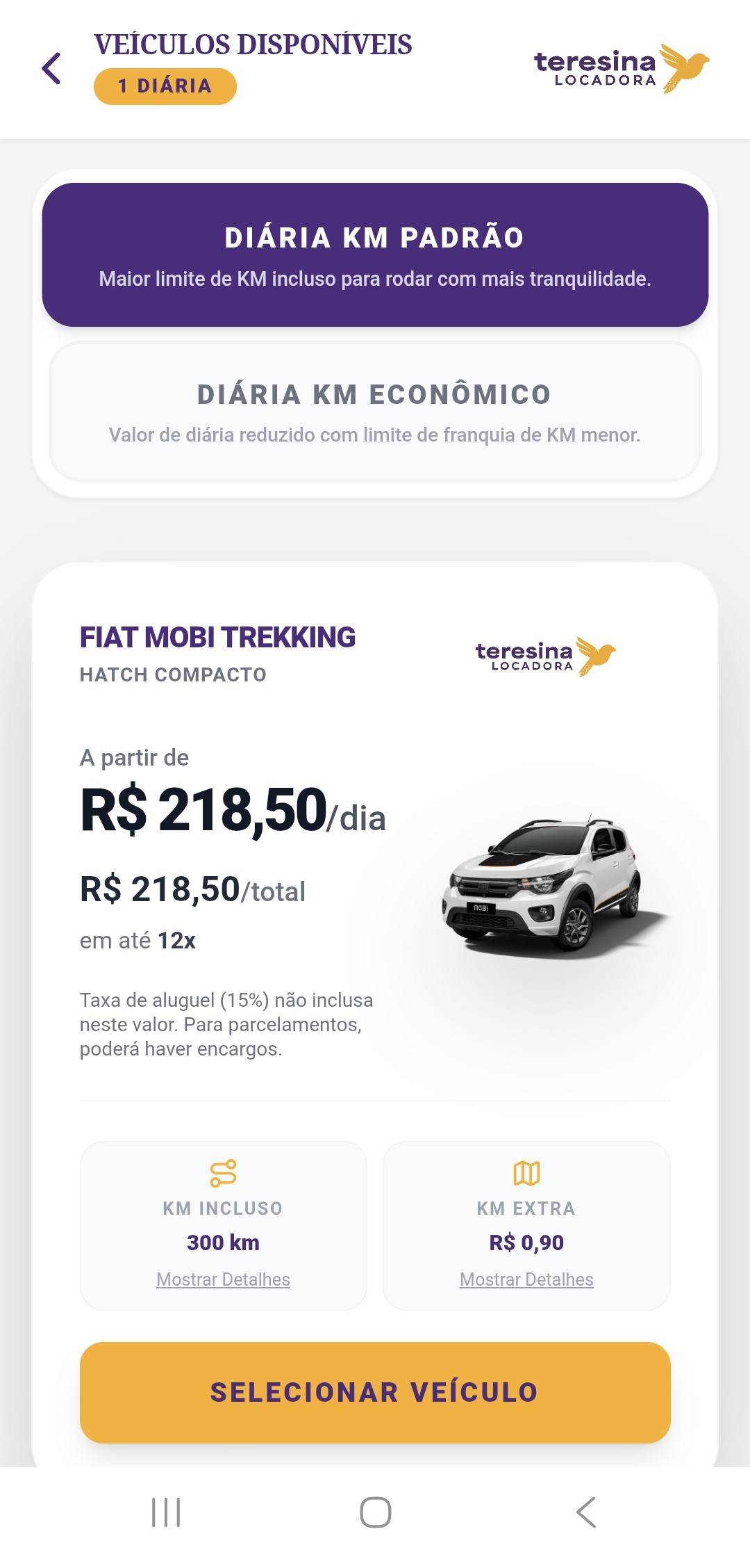 Teresina Locadora